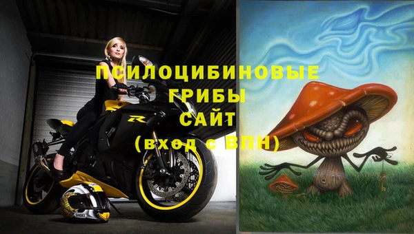 ECSTASY Баксан