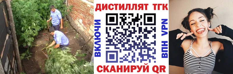 где купить наркотик  kraken как зайти  Дистиллят ТГК THC oil  Гай 