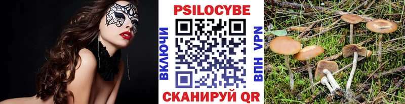 что такое наркотик  Гай  blacksprut как зайти  Галлюциногенные грибы GOLDEN TEACHER 